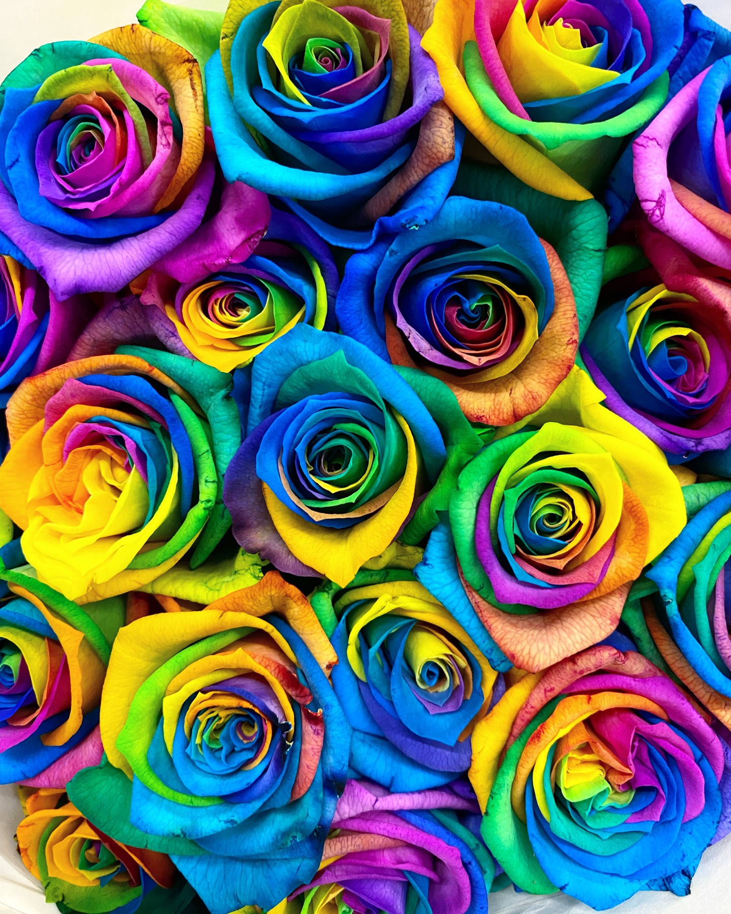Rainbow roses - Blumen Shop Zurich